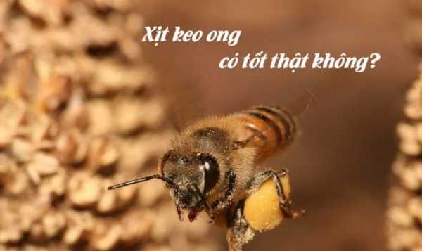 Xịt keo ong giúp kháng virus, giảm đau họng